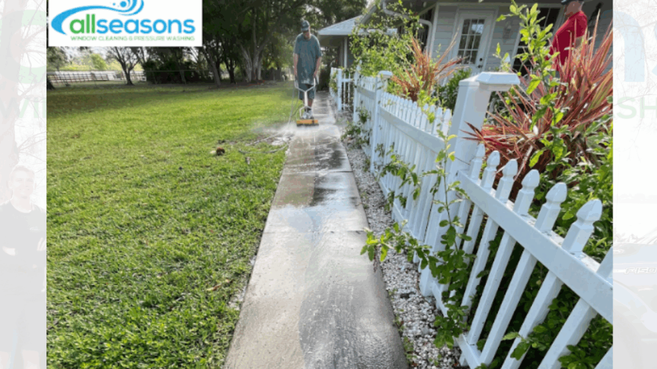 Driveway Pressure Washing Services