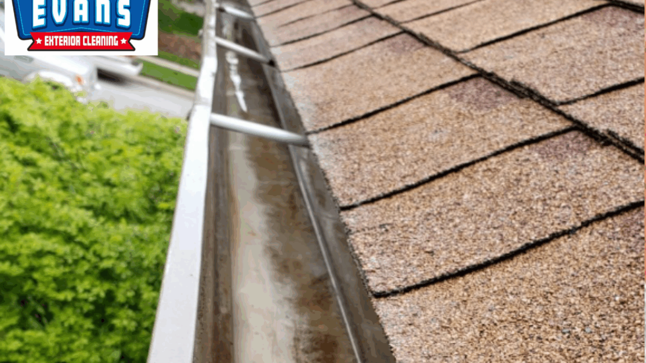 Professional Gutter Cleaning