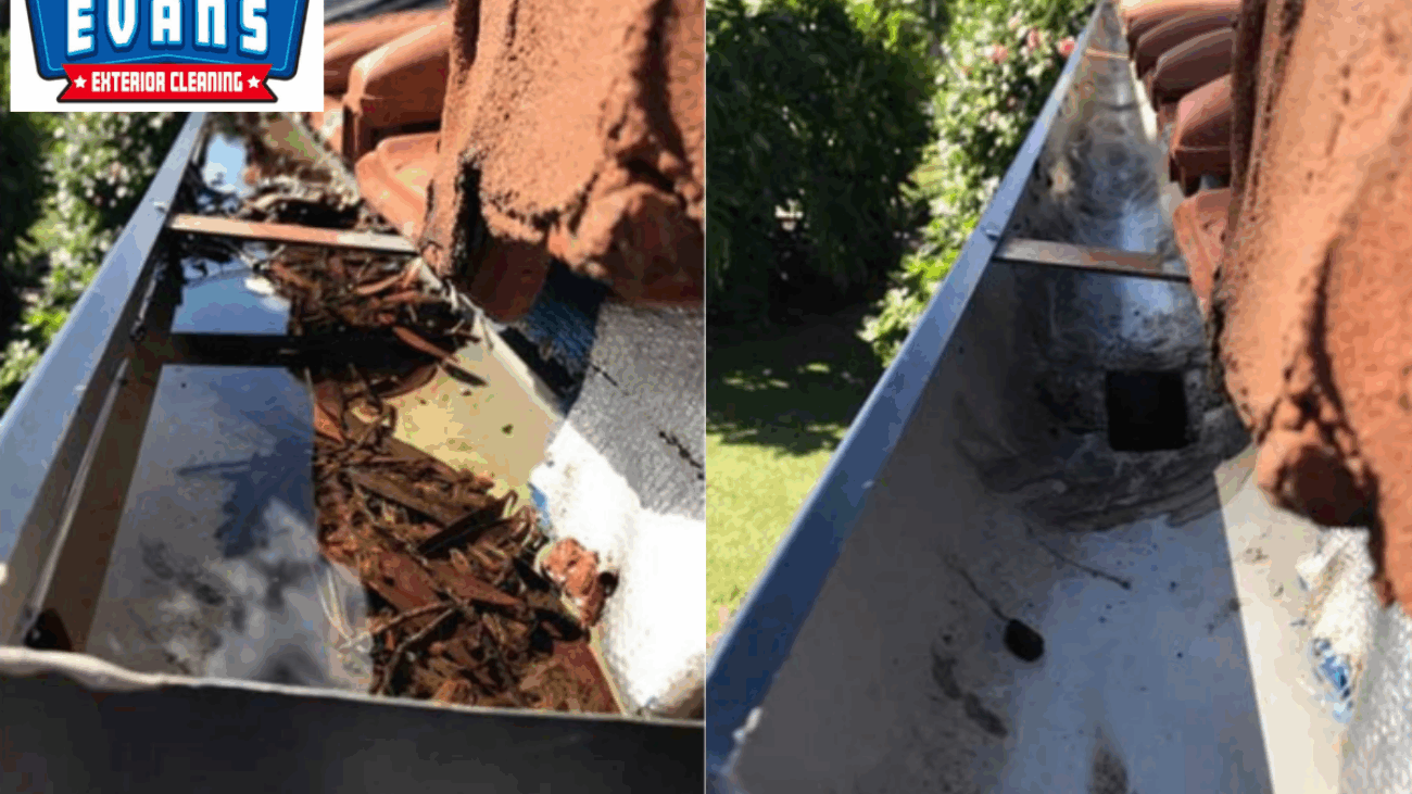 Gutter Cleaning