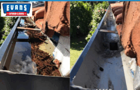 Gutter Cleaning