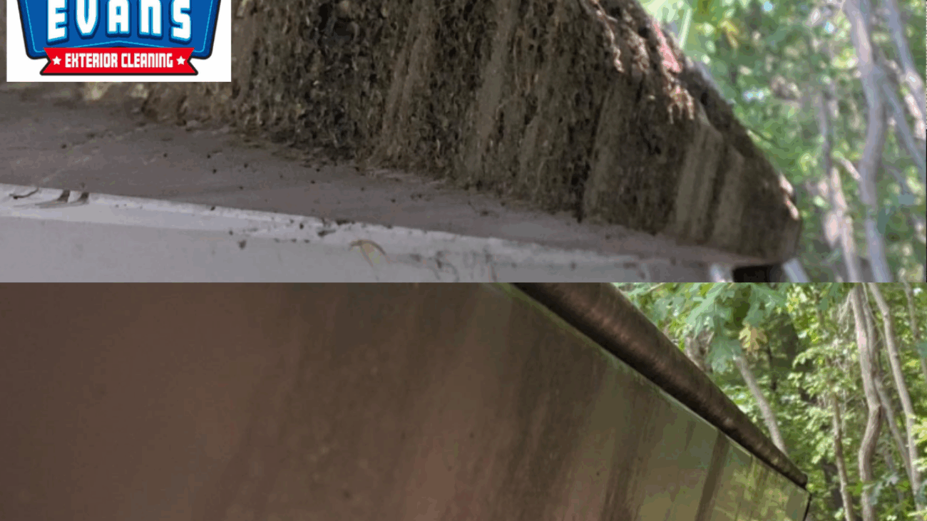 Trusted Gutter Cleaning Service