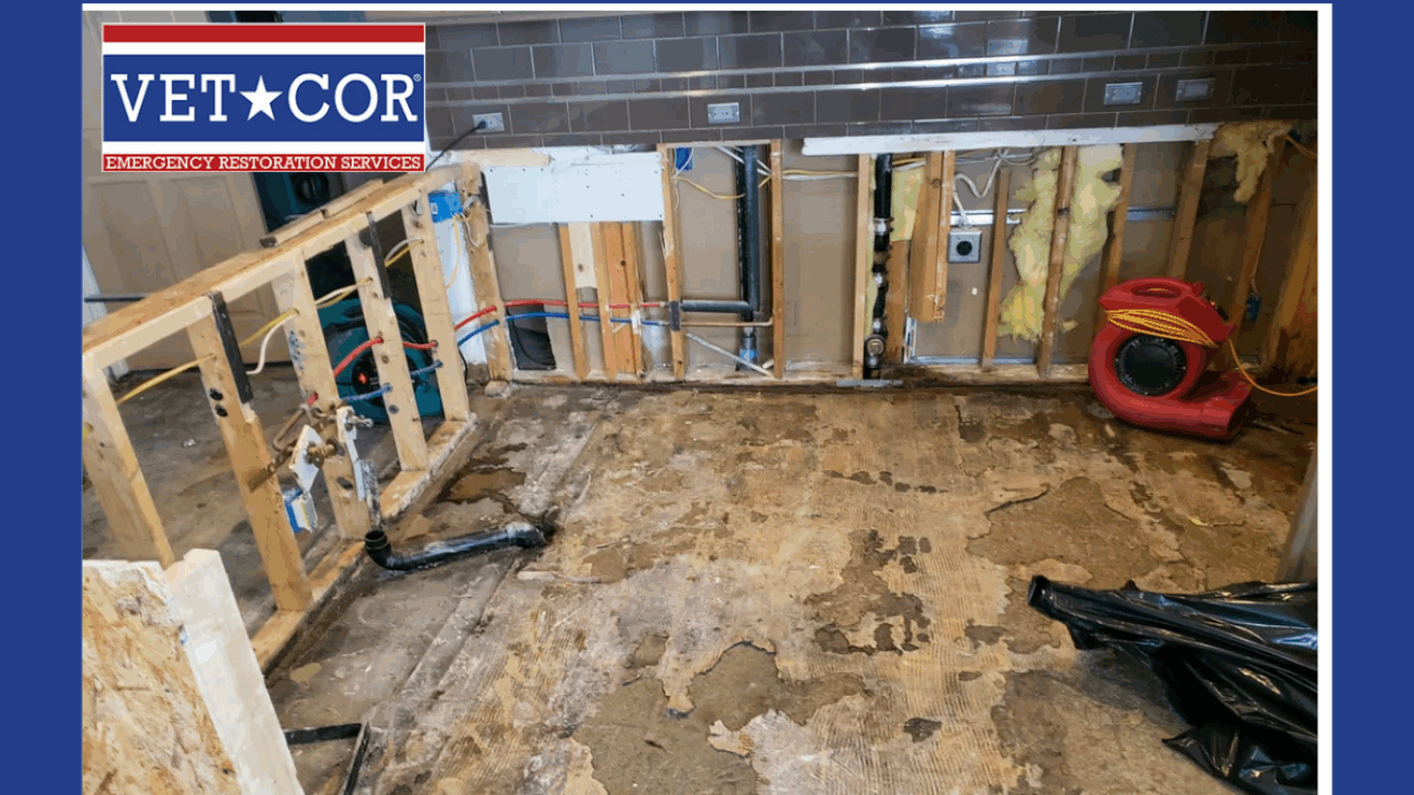 Water Damage Restoration Sarasota