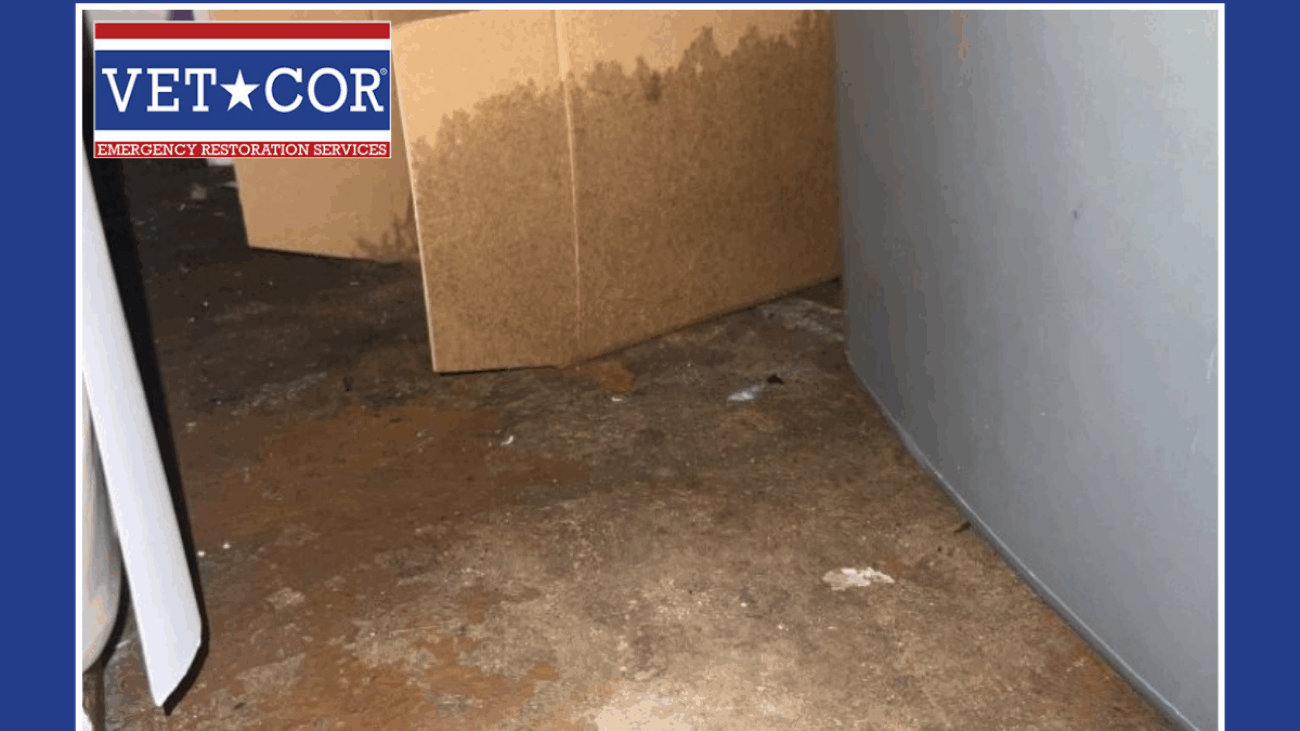 Water Damage Restoration Sarasota