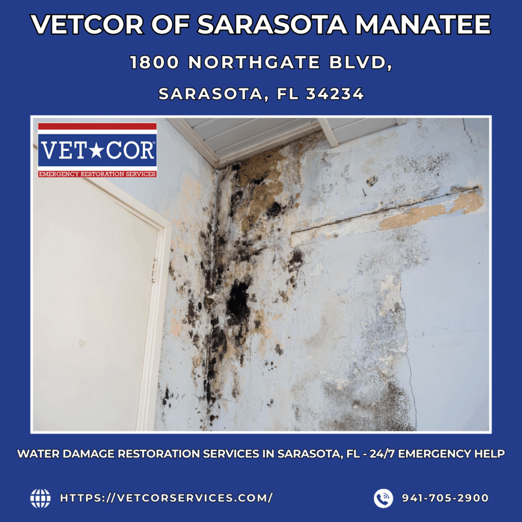 Water Damage Restoration Services