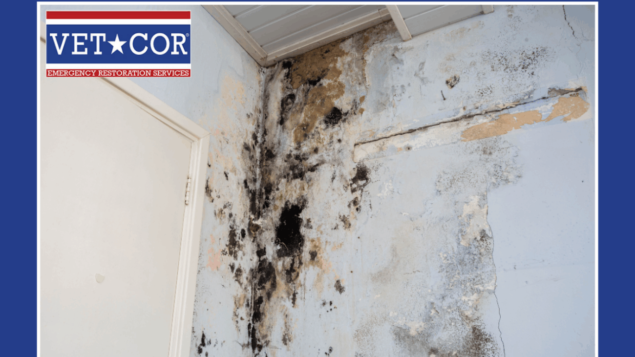 Water Damage Restoration Services