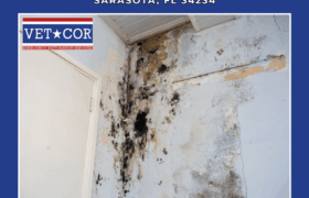 Water Damage Restoration Services
