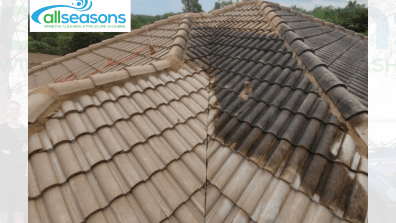 Roof Cleaning Cape Coral