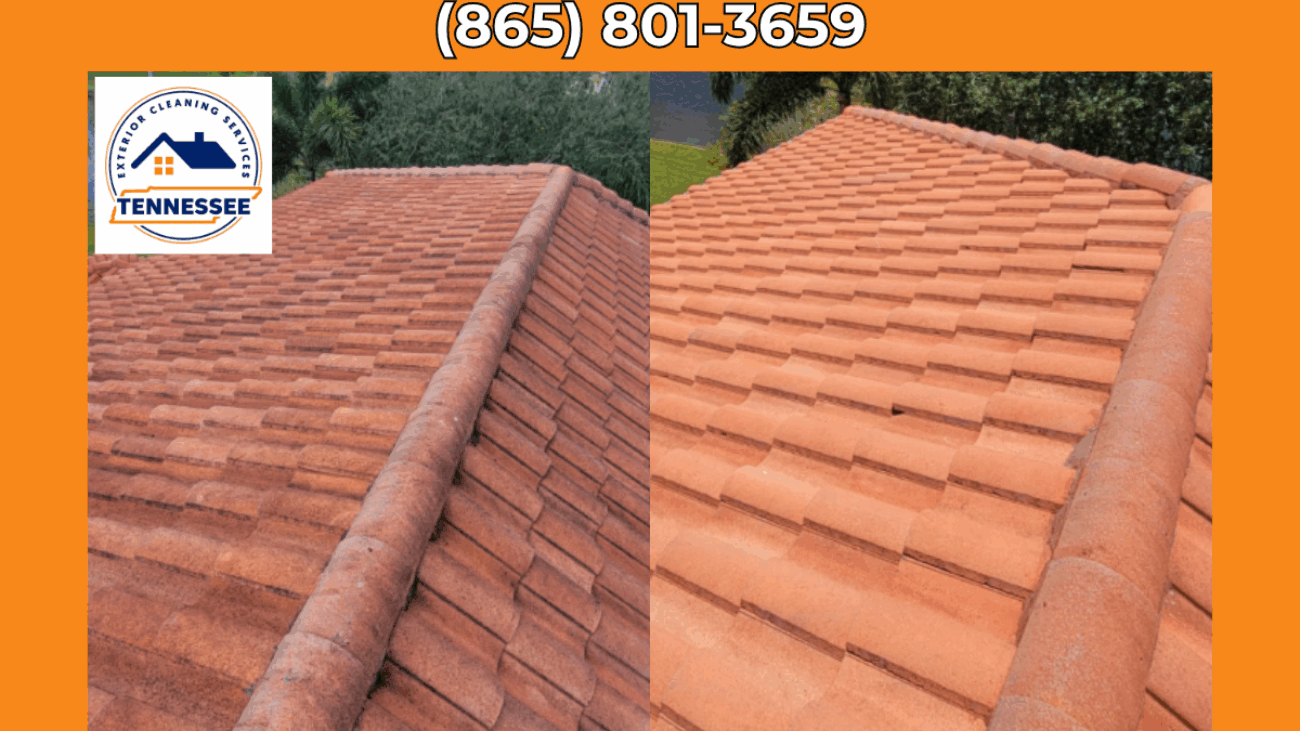 Best Roof Cleaning Maryville TN - TN Exterior Cleaning Services