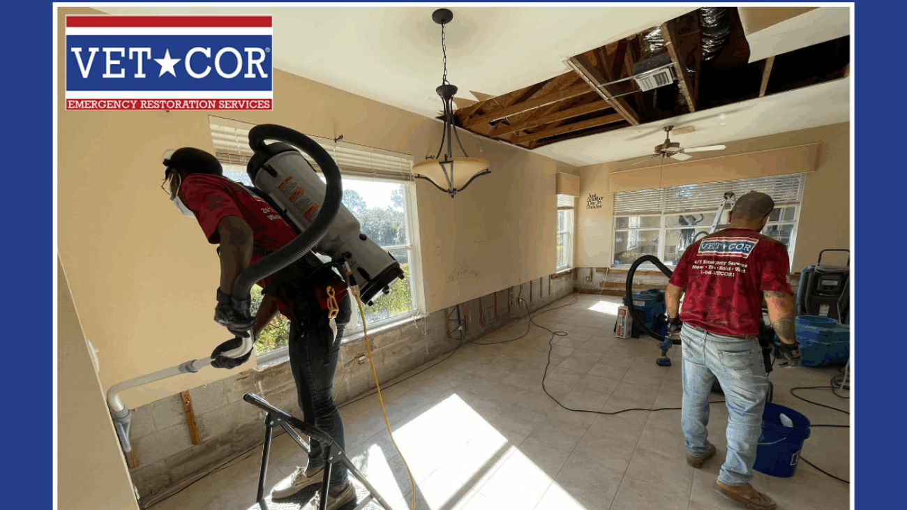 Best Water Damage Remediation Sarasota - VetCor of Sarasota Manatee