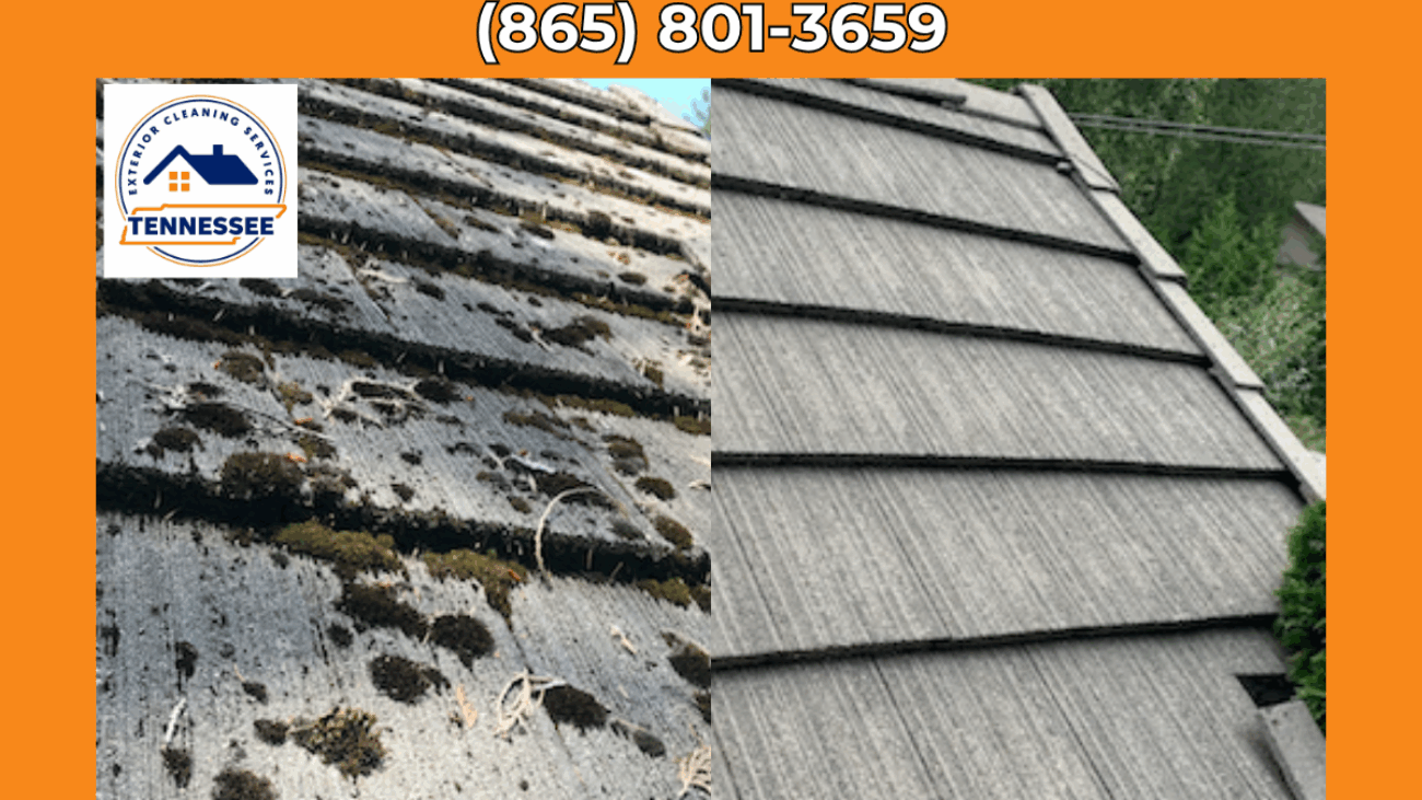 Maryville Roof Moss Removal - TN Exterior Cleaning Services