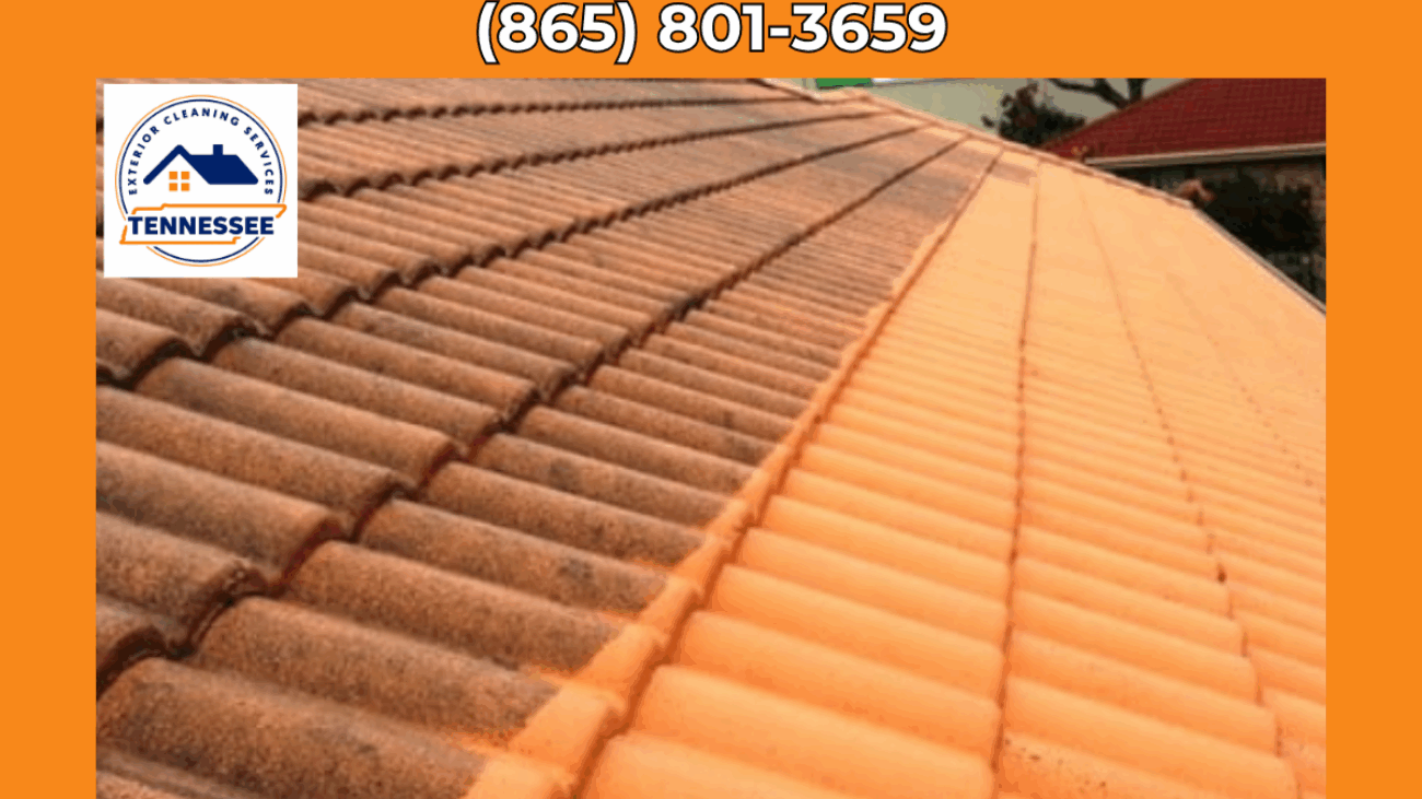 Roof Cleaning Company Maryville - TN Exterior Cleaning Services