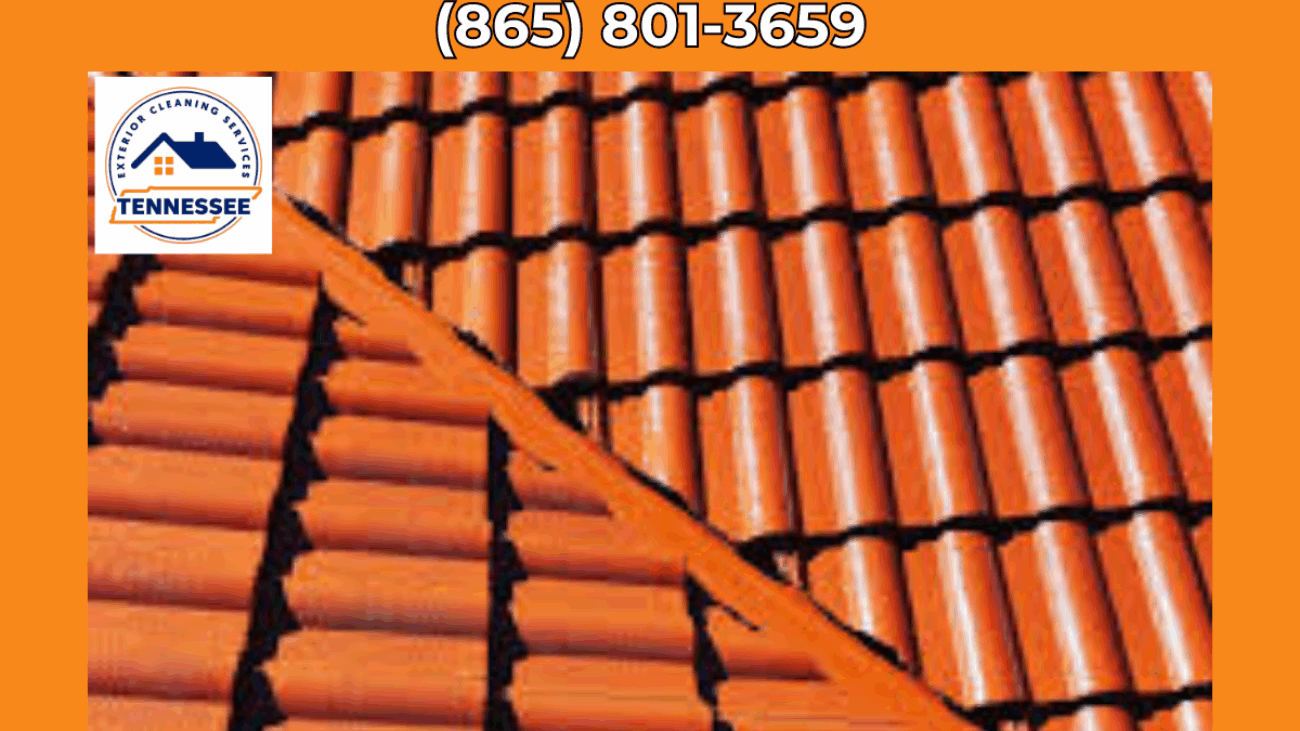 Roof Cleaning Maryville - TN Exterior Cleaning Services