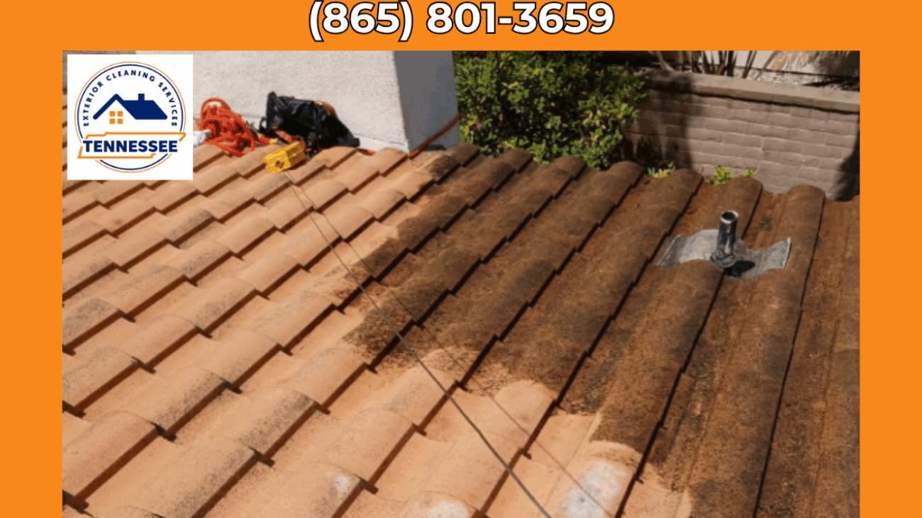 Roof Cleaning Maryville TN - TN Exterior Cleaning Services