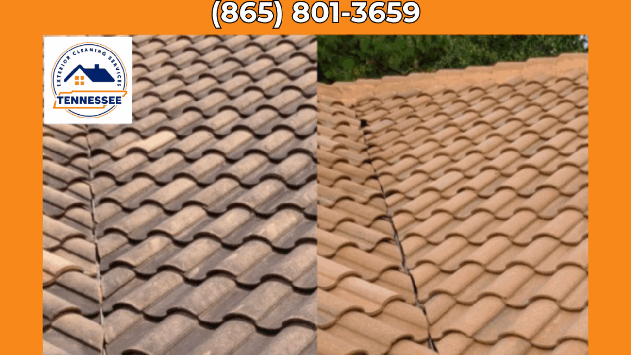 Roof Cleaning Near Me Maryville - TN Exterior Cleaning Services