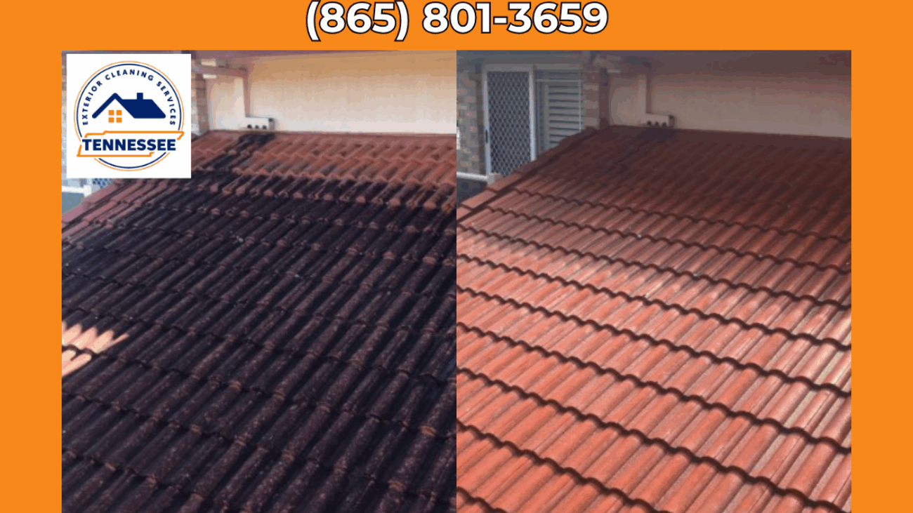 Roof Moss Removal Maryville TN - TN Exterior Cleaning Services