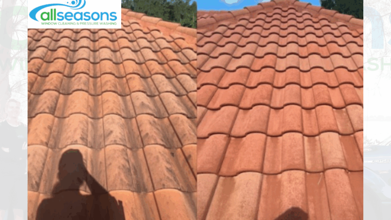 Roof Stain Removal Cape Coral - All Seasons Window Cleaning and Pressure Washing