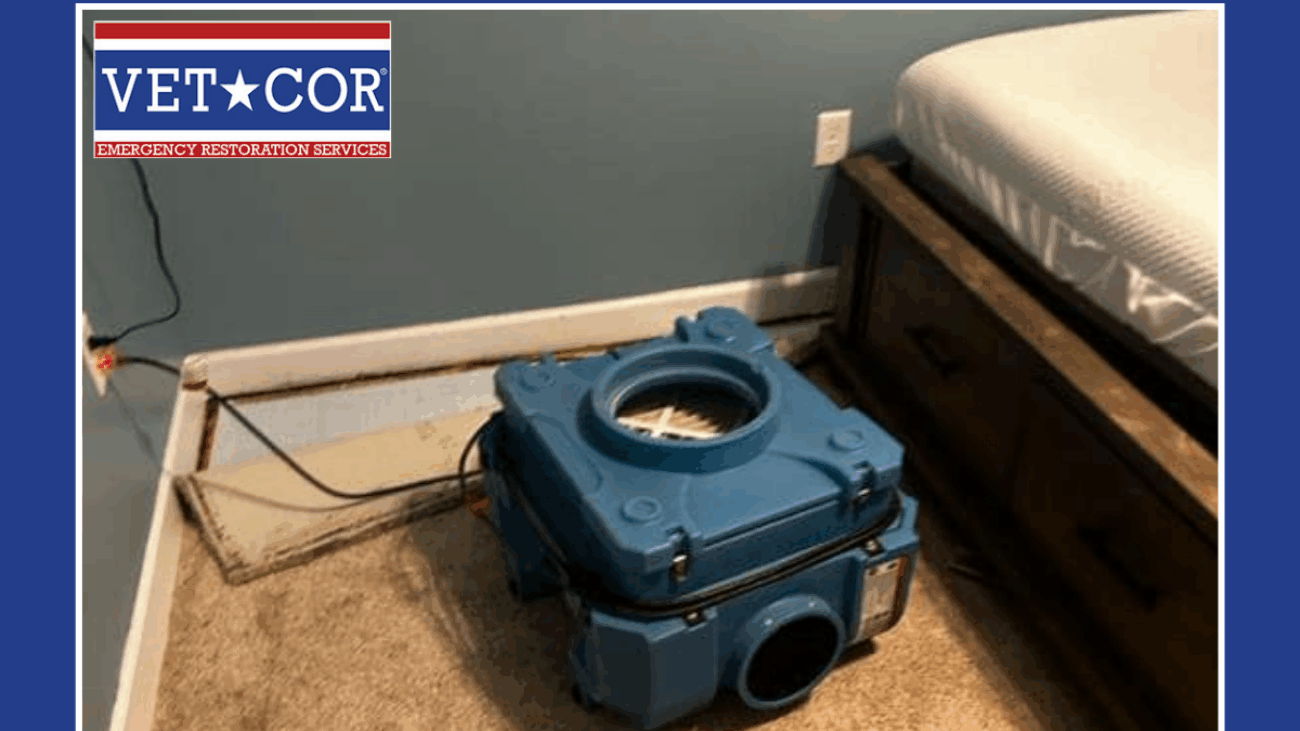 Sarasota Water Damage Remediation - VetCor of Sarasota Manatee