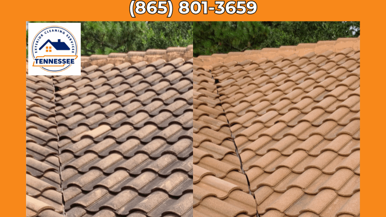 Soft Roof Washing Maryville - TN Exterior Cleaning Services
