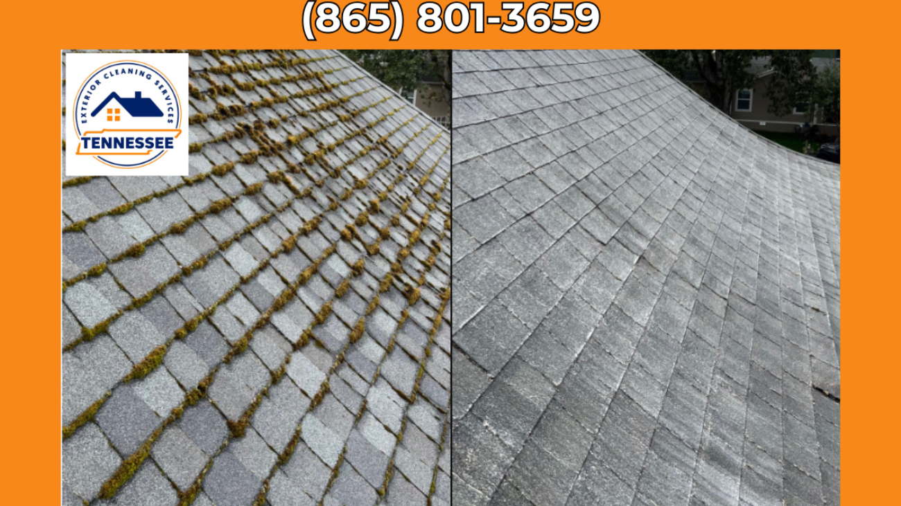 Roof Cleaning Maryville - TN Exterior Cleaning Services