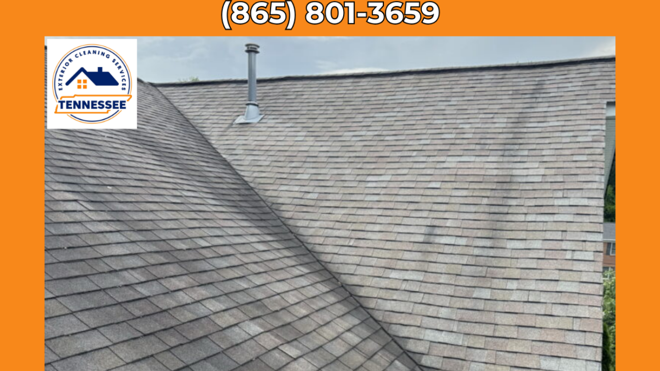 Roof Cleaning - TN Exterior Cleaning Services